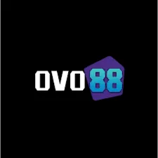 OVO88 - Nikmati Musik dengan Cara yang Baru